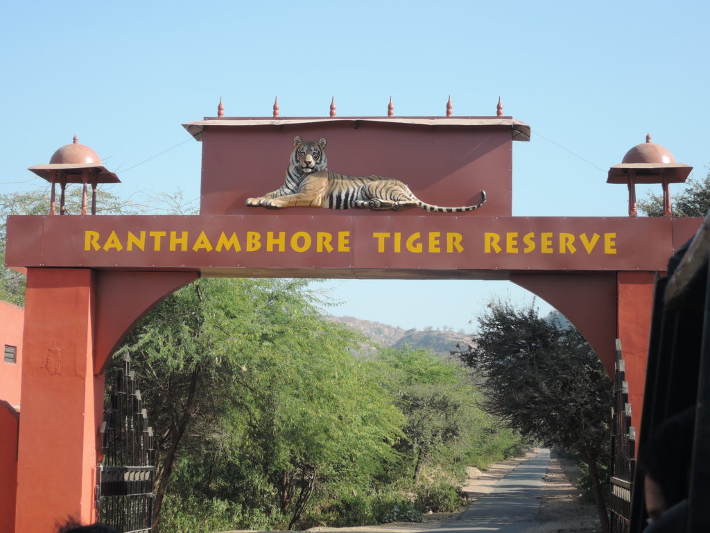 ranthambore national park tour