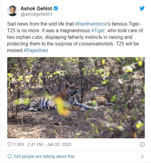 tiger reserved in ranthambore national park