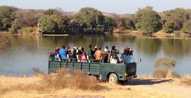 canter safari in ranthambore national park