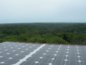Ranthambore National Park Solar Lighting
