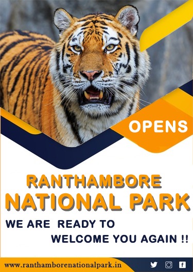 Ranthambore National Park Now Partially Open for Tourists
