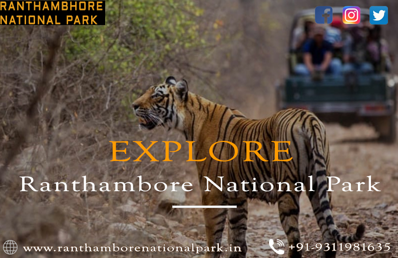 Online Safari Booking Charges at Ranthambore National Park