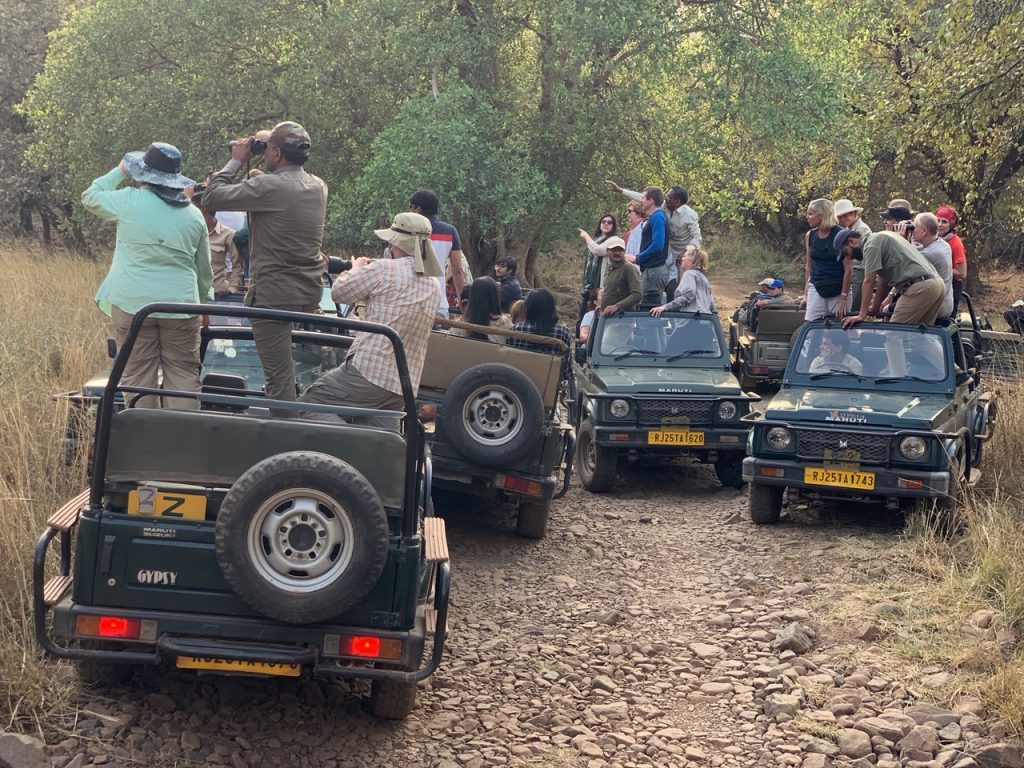 Ranthambore National Park: Jeep safari Guide