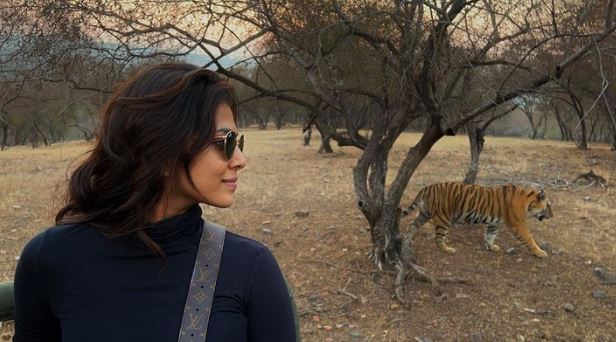 Malavika Mohanan Spotted Tiger in Ranthambore National Park Jungle Safari after Vicky-Katrina Wedding