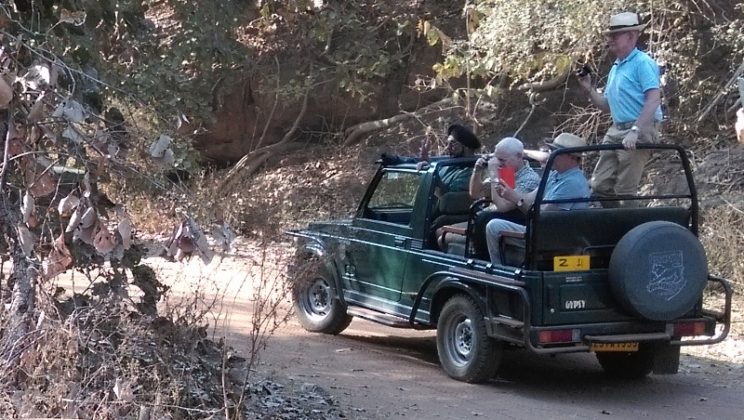 Hotel Business affected by the closure of full-day and half-day safaris in Ranthambore Tiger Reserve
