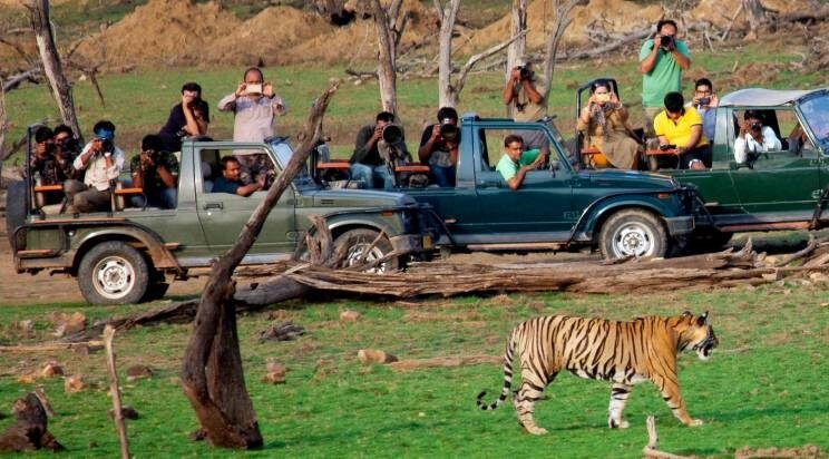 Ranthambore National Park Best wild escapade close to Delhi