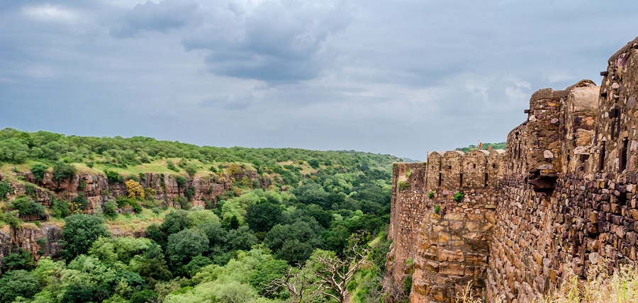 ranthambore wildlife