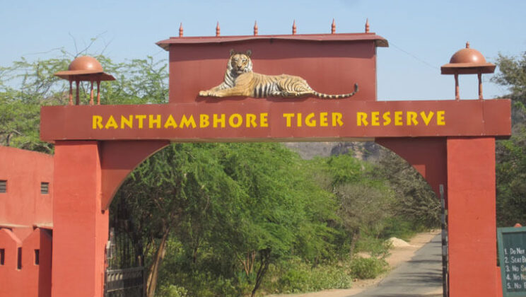 3 New Gates to be Added in Ranthambore National Park, Rajasthan