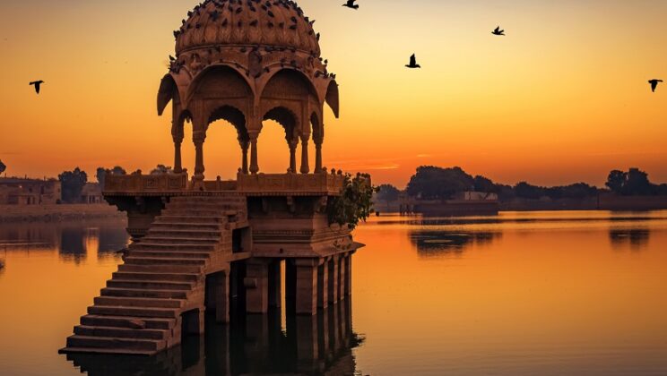 Binge Visit to Jaipur and Ranthambore 