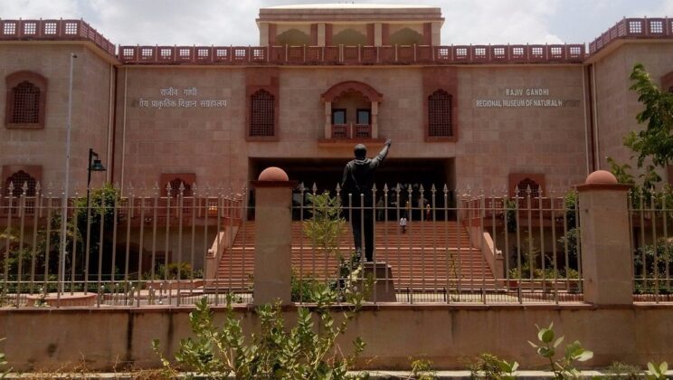 Unveiling the Rich Legacy: Rajiv Gandhi Museum in Ranthambore