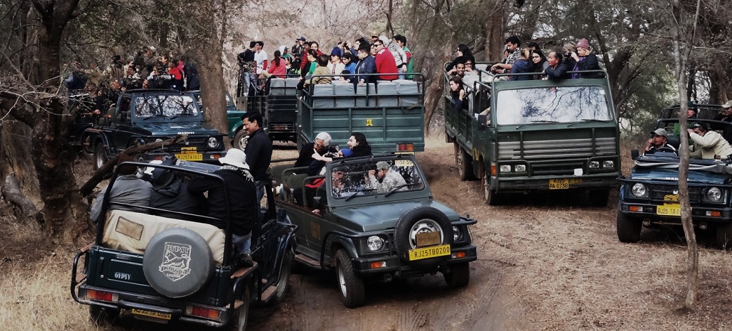 jeep vs canter