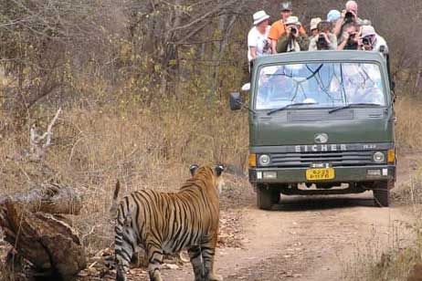 about ranthambore park