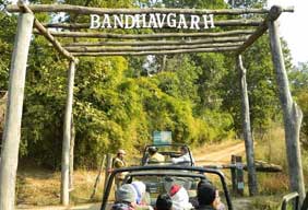 bandhavgarh national park