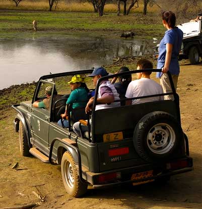 safari in ranthambore