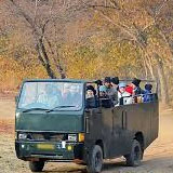 ranthambore canter safari