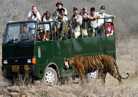 ranthambore tour