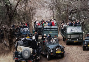 ranthambore tour