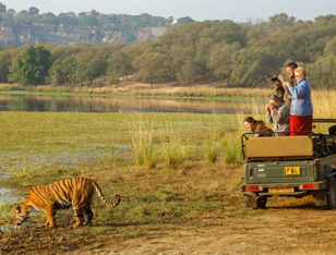ranthambore park