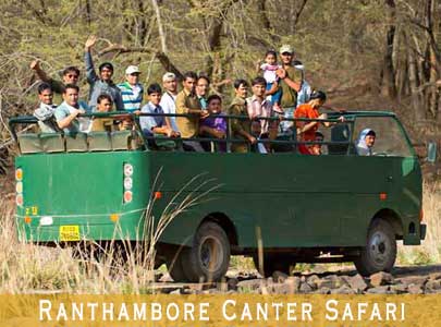 ranthambore canter safari