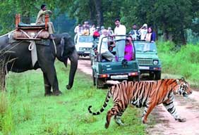 dhikala corbett