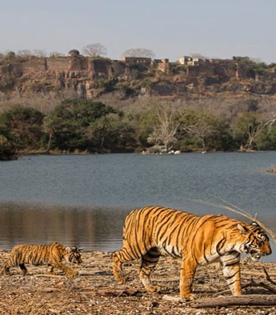 ranthambore geography