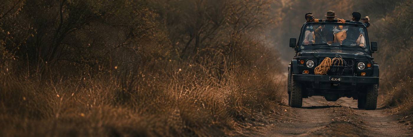 Jeep safari in Ranthambore National Park