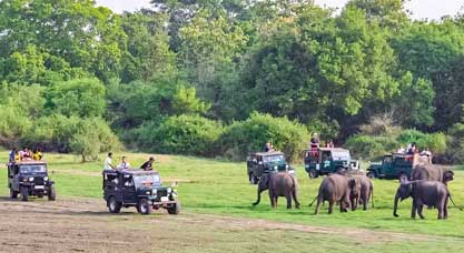 jeep safari booking