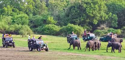 jeep safari booking