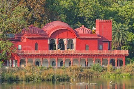 jogi mahal ranthambore