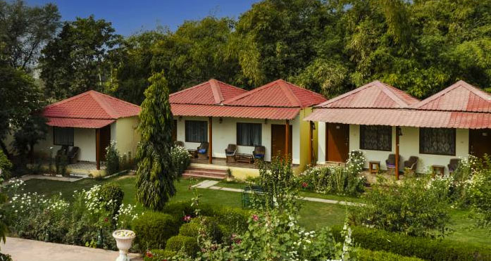 jungle retreat