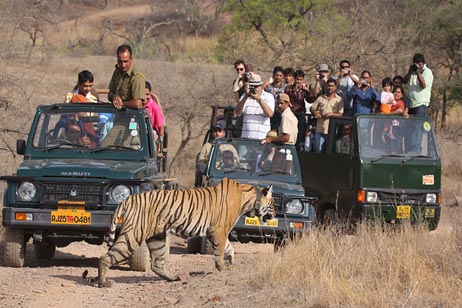 rajasthan tourism