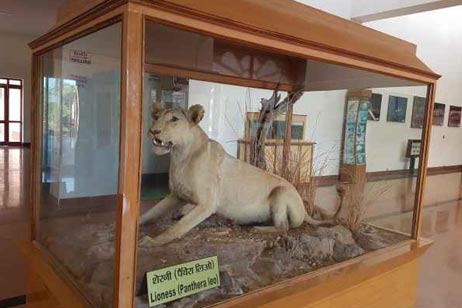 rajiv gandhi regional museum