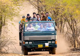 ranthambore canter