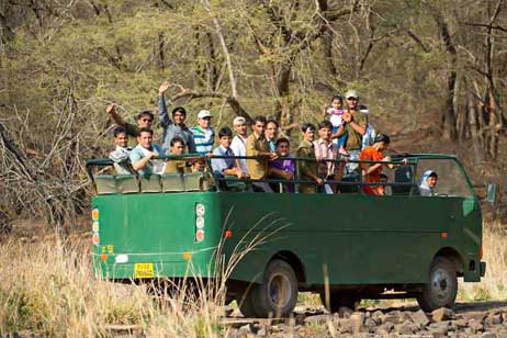 ranthambore fauna