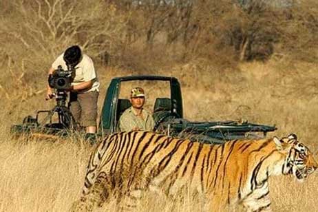 ranthambore safari permit