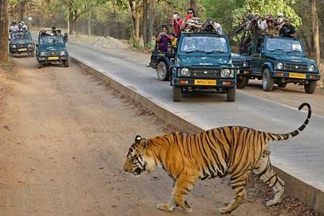 ranthambore reach