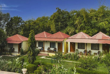 ranthambore hotels