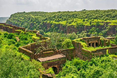 ranthambore forts