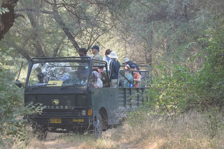 ranthambore tiger zone