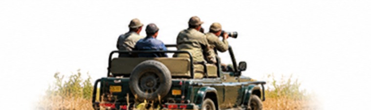 Jeep safari at Ranthambore
