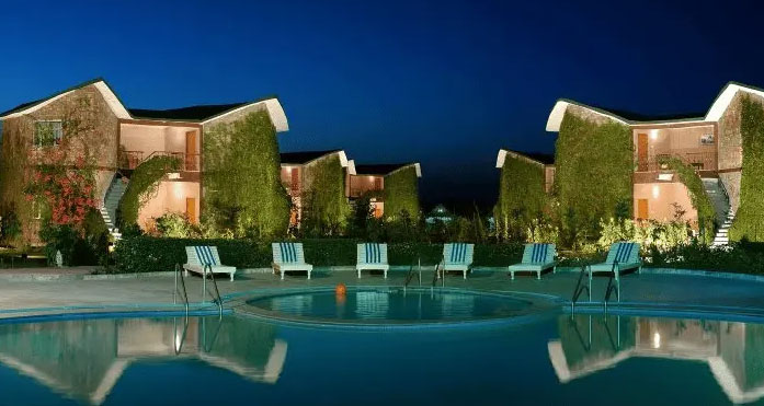 the fern forest resort