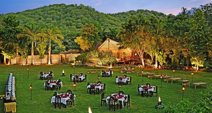 the fern forest resort