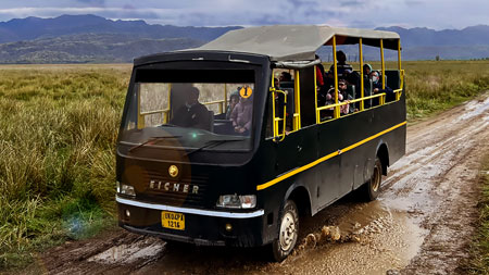 Canter safari in Ranthambore National Park