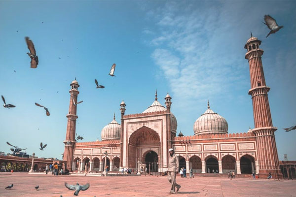 Day 01: Arriving In Delhi