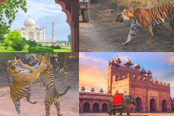 Planning a Golden Triangle Tour with Ranthambore