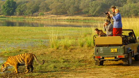 Jeep vs Canter Safari — Which Should You Choose?