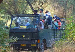 ranthambore tour