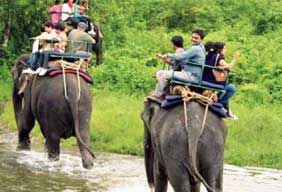 visiting bandhavgarh