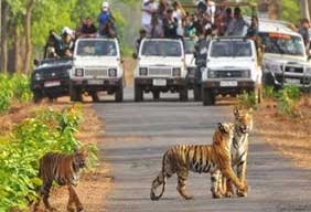 visiting national park