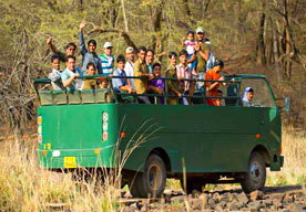 ranthambore canter